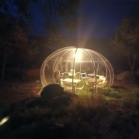 בית הארחה סנטה טרזה גאיורה 	Eucaliptus Farm Retreat מראה חיצוני תמונה