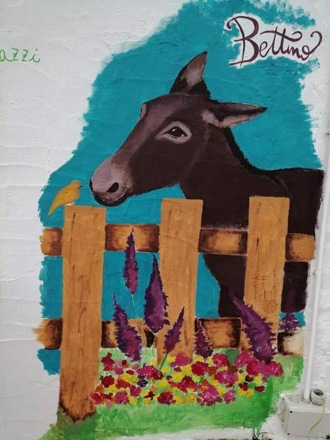 בית הארחה סנטה טרזה גאיורה 	Eucaliptus Farm Retreat מראה חיצוני תמונה
