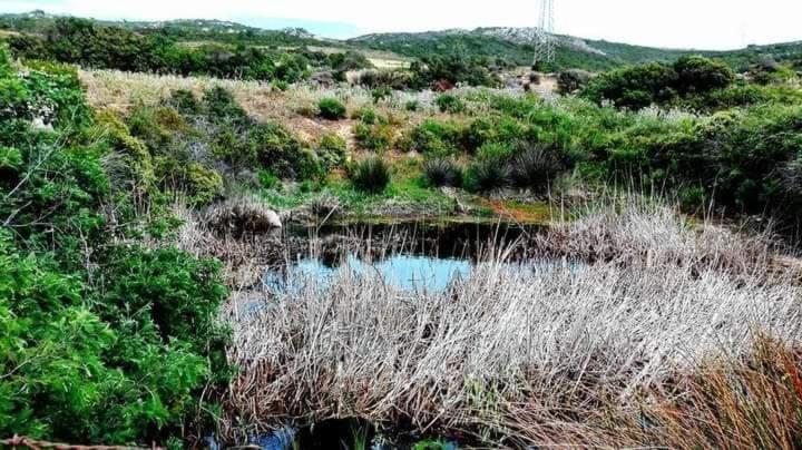 בית הארחה סנטה טרזה גאיורה 	Eucaliptus Farm Retreat מראה חיצוני תמונה