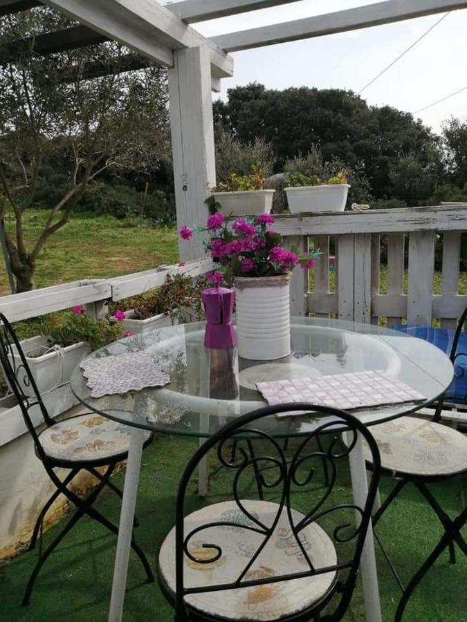 בית הארחה סנטה טרזה גאיורה 	Eucaliptus Farm Retreat מראה חיצוני תמונה