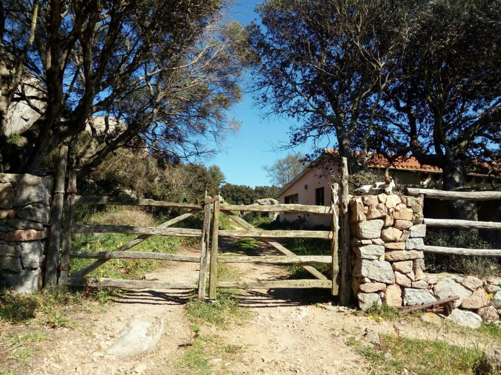 בית הארחה סנטה טרזה גאיורה 	Eucaliptus Farm Retreat מראה חיצוני תמונה