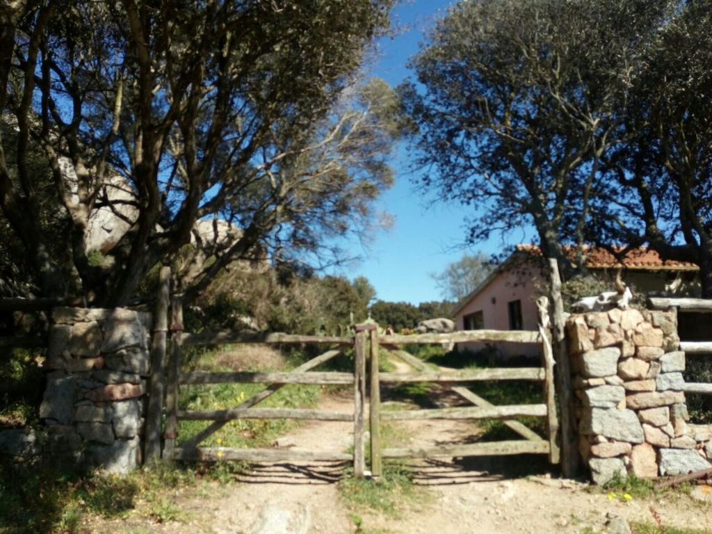 בית הארחה סנטה טרזה גאיורה 	Eucaliptus Farm Retreat מראה חיצוני תמונה