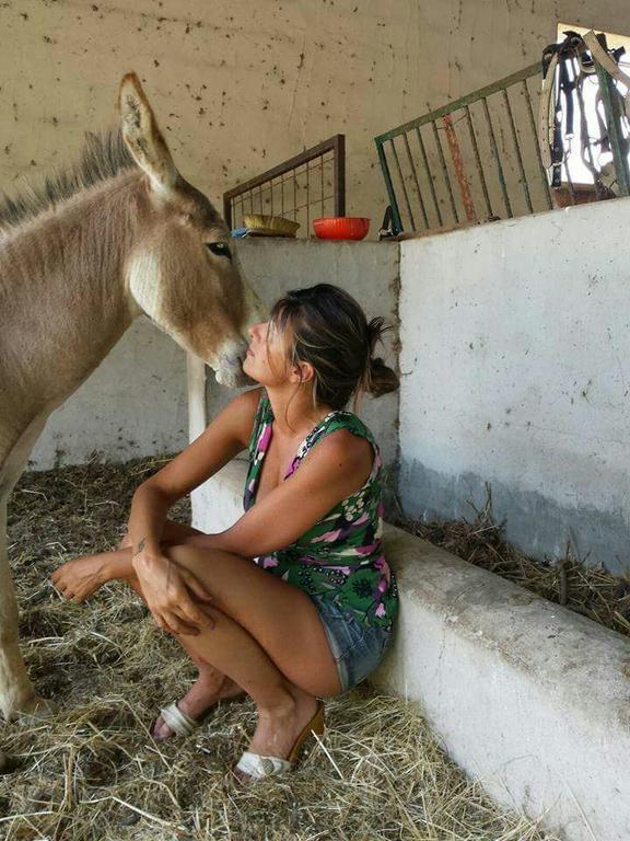 בית הארחה סנטה טרזה גאיורה 	Eucaliptus Farm Retreat מראה חיצוני תמונה