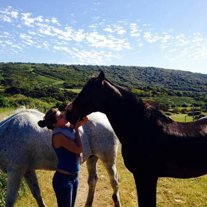 בית הארחה סנטה טרזה גאיורה 	Eucaliptus Farm Retreat מראה חיצוני תמונה