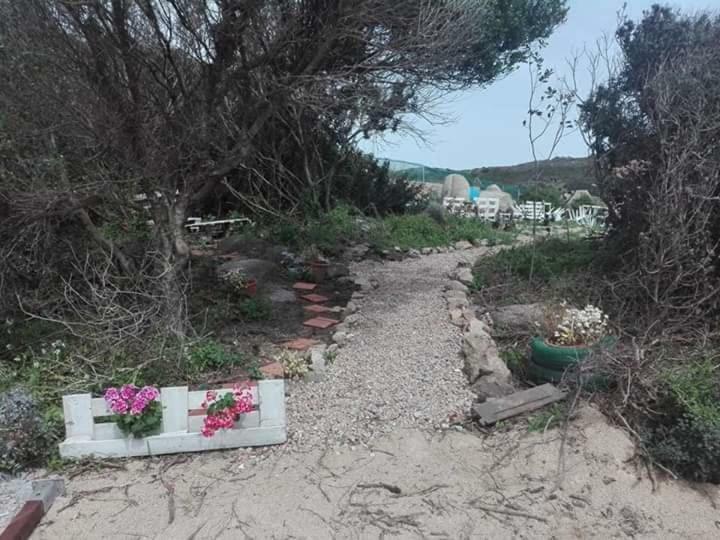 בית הארחה סנטה טרזה גאיורה 	Eucaliptus Farm Retreat מראה חיצוני תמונה