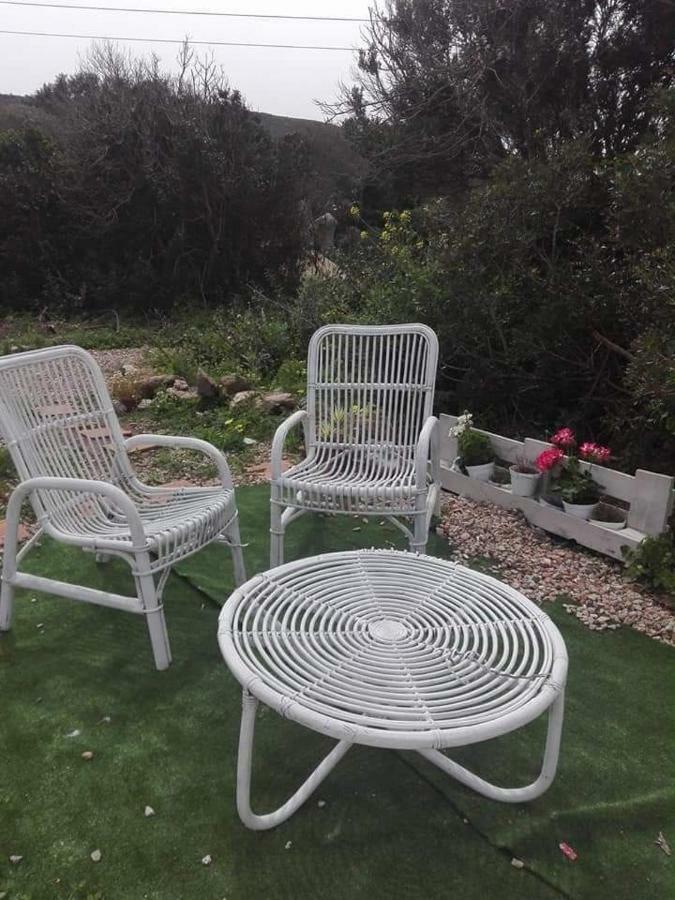 בית הארחה סנטה טרזה גאיורה 	Eucaliptus Farm Retreat מראה חיצוני תמונה